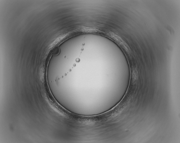 X0000111790533200908061138