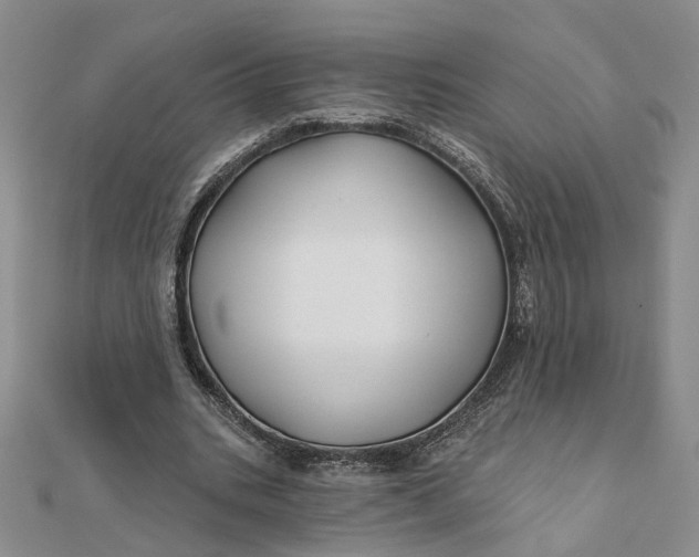 X0000111790535200908061138