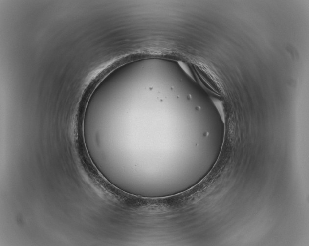 X0000111790536200908061138