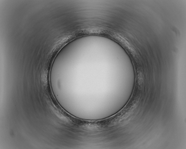 X0000111790537200908061138