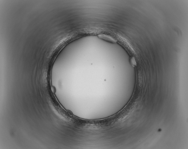 X0000111790538200908061138