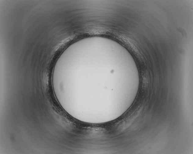 X0000111790539200908061138