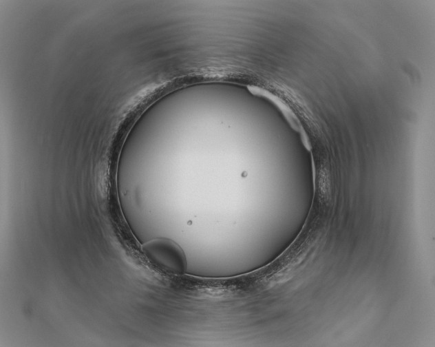 X0000111790540200908061138