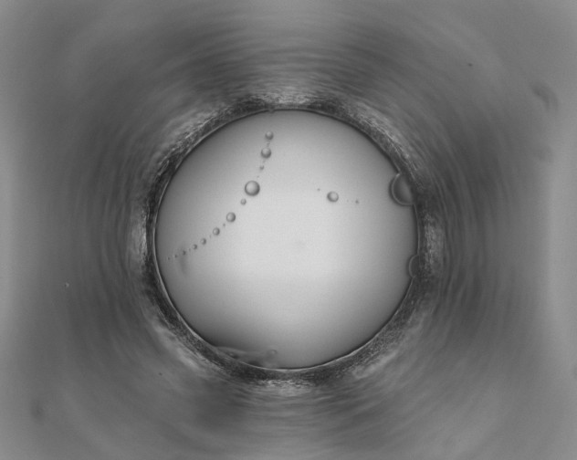 X0000111790541200908061138