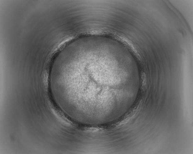 X0000111790542200908061138