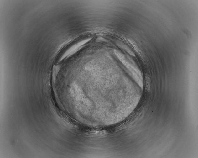 X0000111790543200908061138