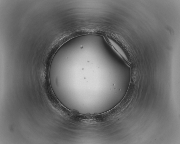 X0000111790544200908061138