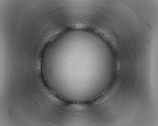 X0000111790545200908061138