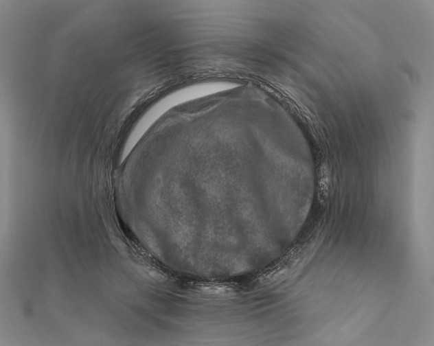 X0000111790547200908061138