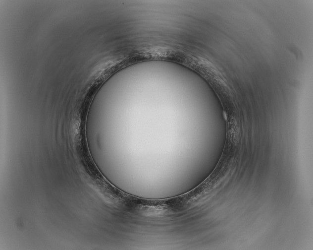 X0000111790548200908061138