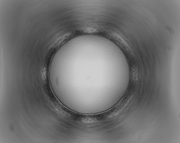 X0000111790549200908061138