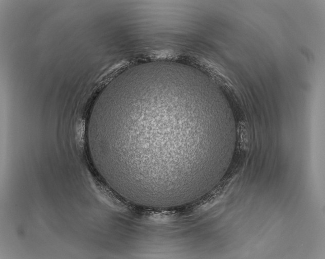 X0000111790550200908061138