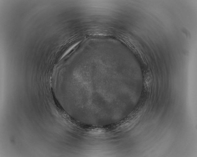 X0000111790551200908061138