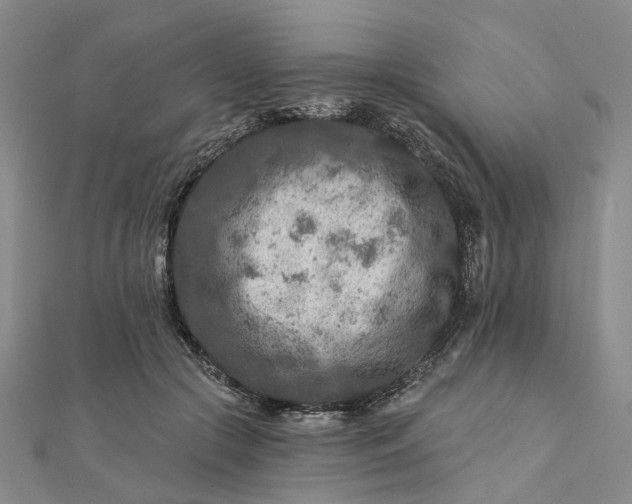 X0000111790553200908061138