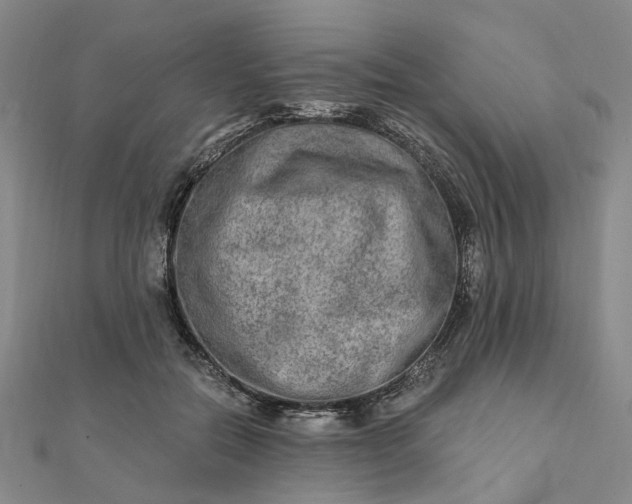 X0000111790554200908061138