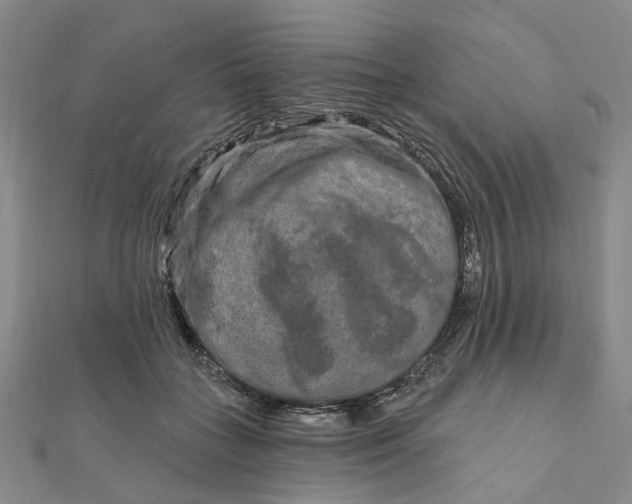 X0000111790555200908061138