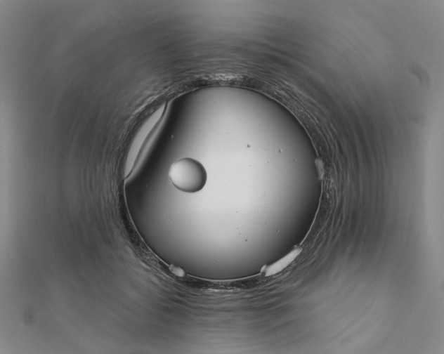 X0000111790556200908061138