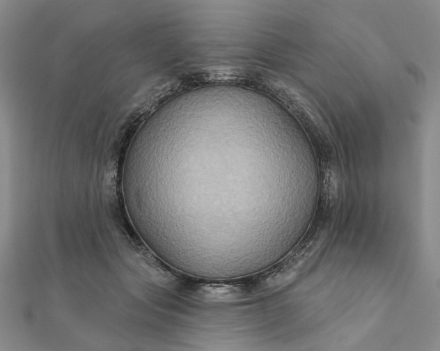 X0000111790557200908061138