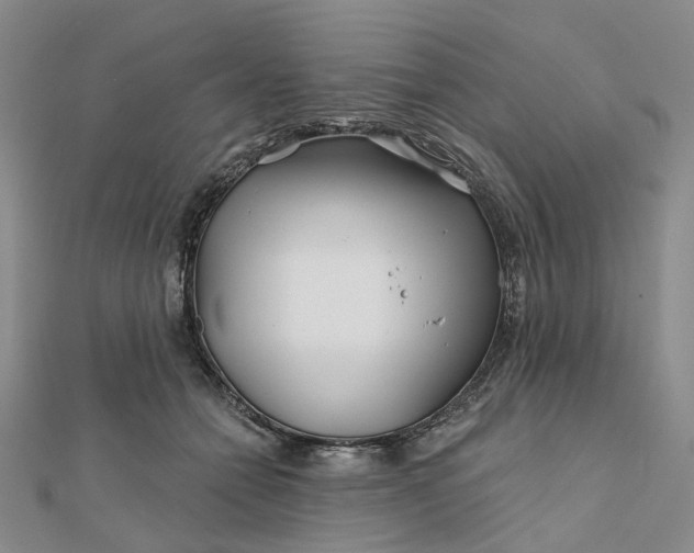 X0000111790558200908061138