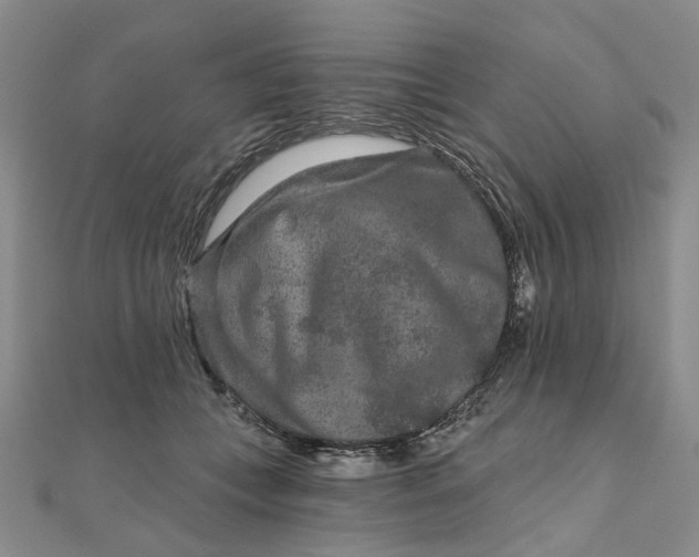 X0000111790559200908061138