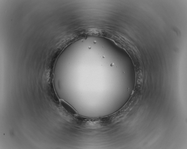 X0000111790560200908061138