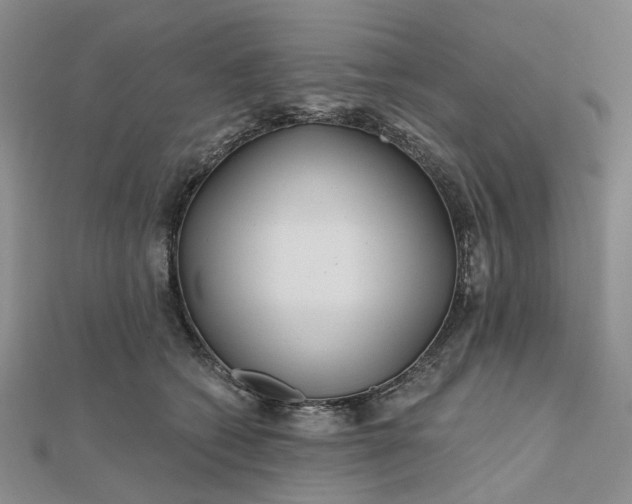 X0000111790562200908061139