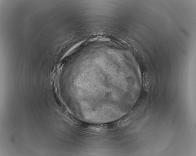 X0000111790563200908061139