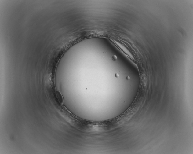 X0000111790564200908061139