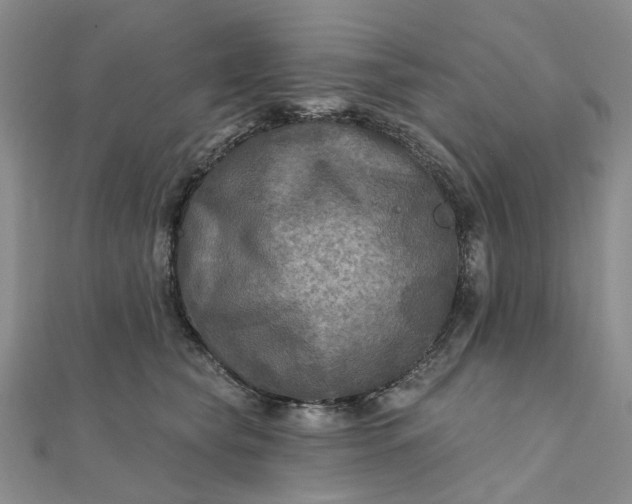 X0000111790565200908061139