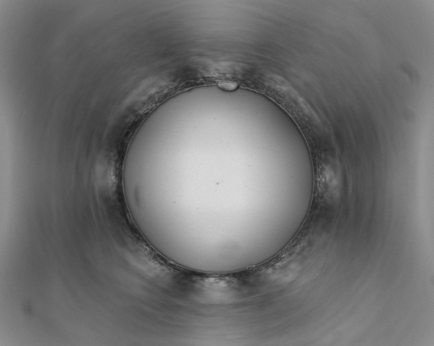 X0000111790566200908061139