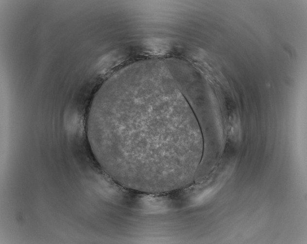 X0000111790568200908061139