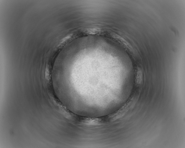 X0000111790569200908061139