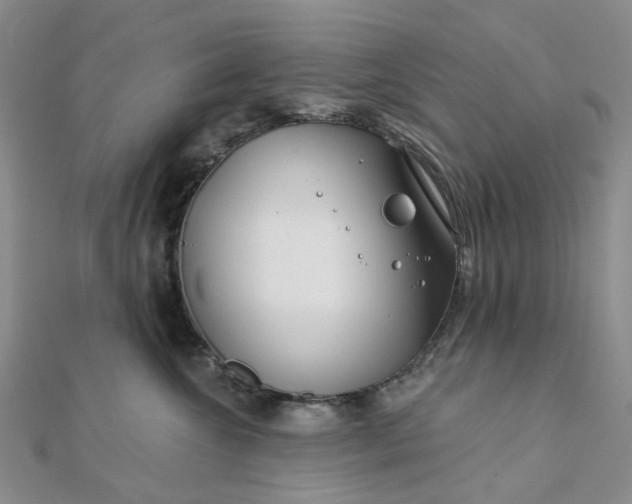 X0000111790572200908061139