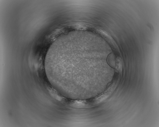 X0000111790573200908061139