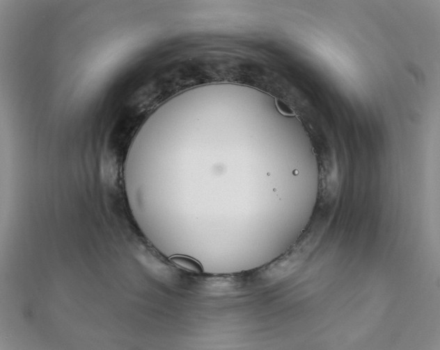 X0000111790574200908061139