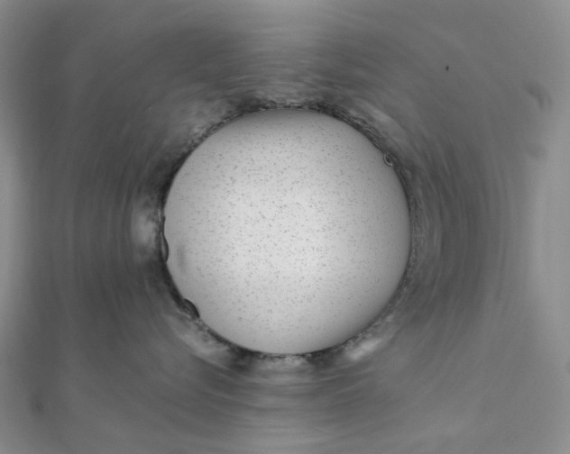 X0000111790576200908061139