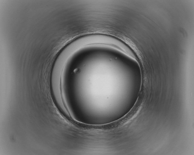 X0000111790577200908061138