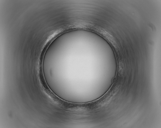 X0000111790578200908061138