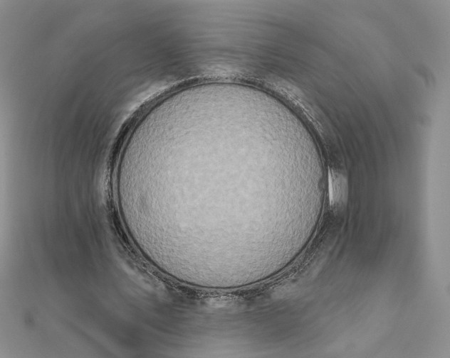 X0000111790579200908061138