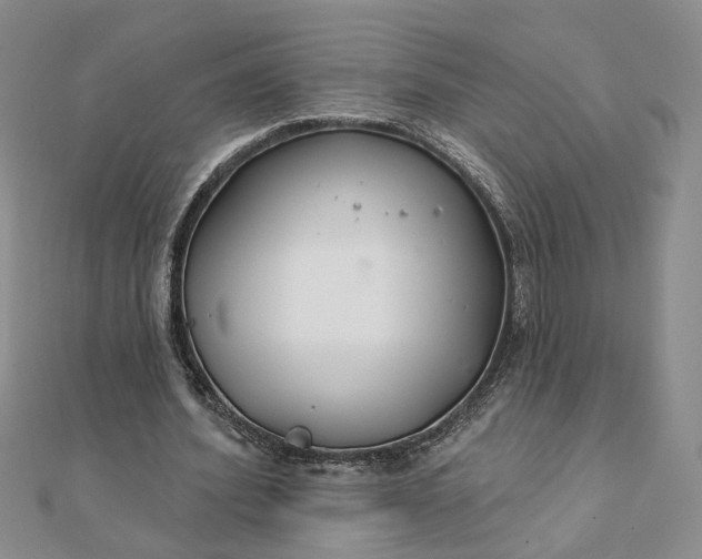 X0000111790580200908061138