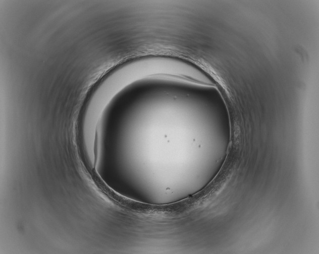 X0000111790581200908061138