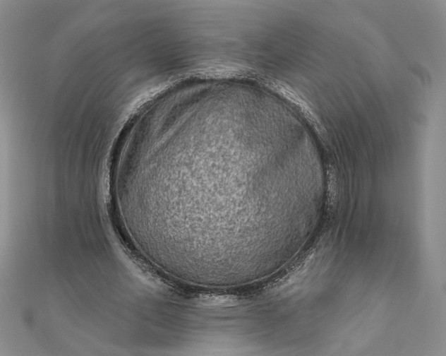 X0000111790582200908061138