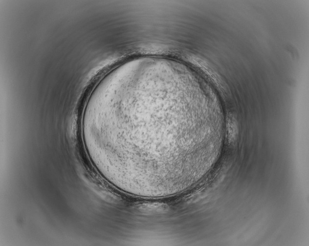 X0000111790583200908061138