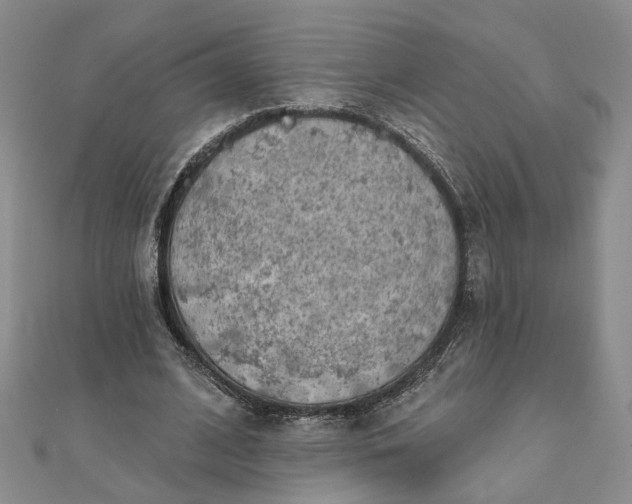 X0000111790584200908061138