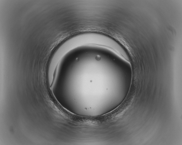 X0000111790585200908061138