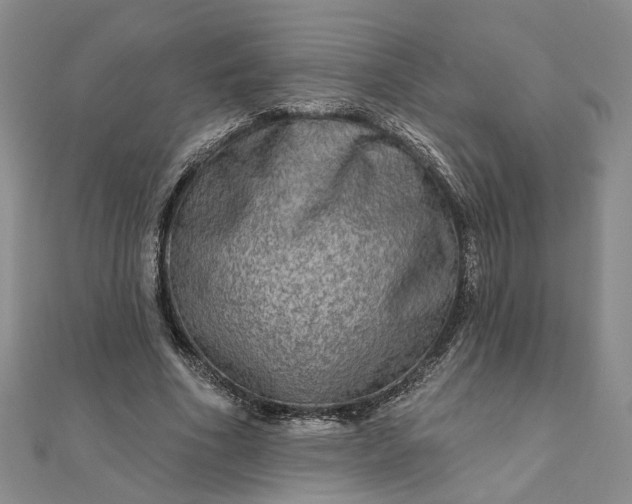 X0000111790586200908061138