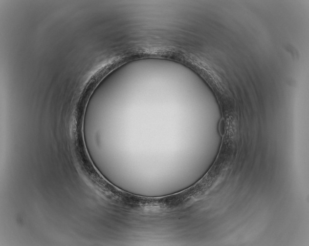 X0000111790587200908061138