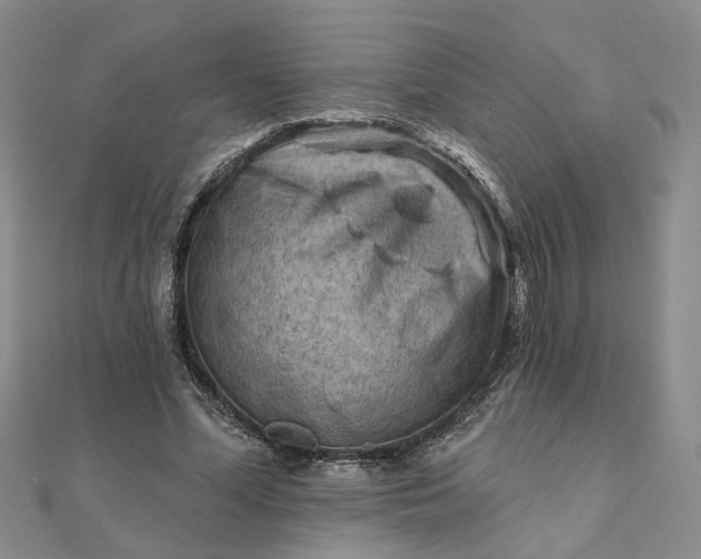 X0000111790588200908061138