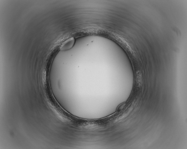 X0000111790589200908061138