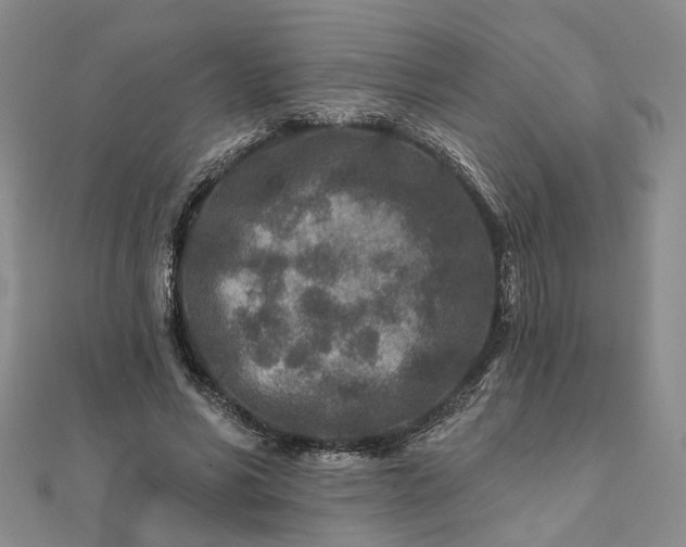 X0000111790590200908061138